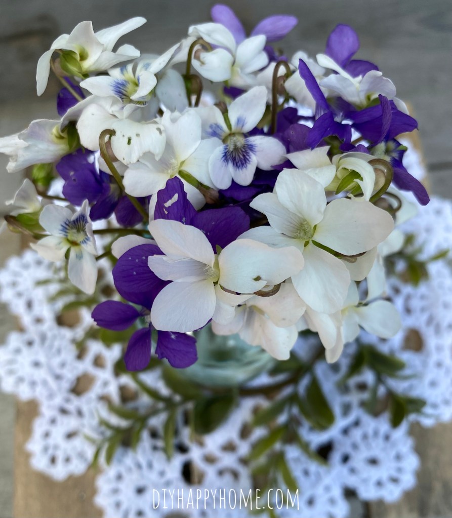 Beautiful Wild Violets