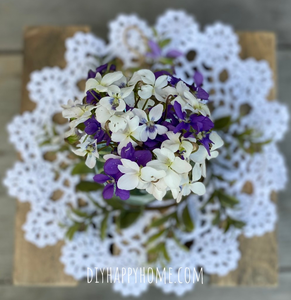 Beautiful Wild Violets