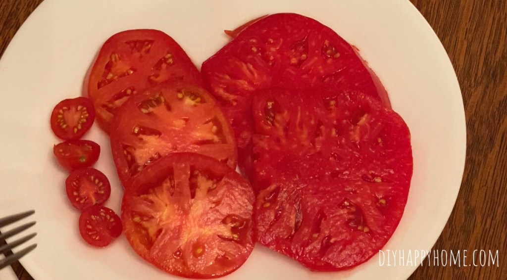 Which Variety Wins the Tomato Taste Test?